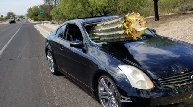 Замена лобового стекла по КАСКО davayte-rassmotrim-poryadok-deystviy-voditelya-srazu-posle-povrezhdeniya-stekla