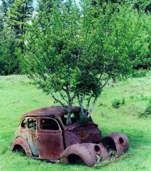 Работы, которые выполняются по ремонту и восстановлению кузова автомобилей borba-s-korroziey-avto