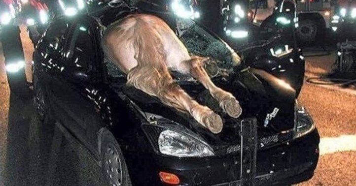 Быстрая замена поврежденного лобового стекла машины dlya-chego-trebuetsya-zamena-lobovogo-stekla